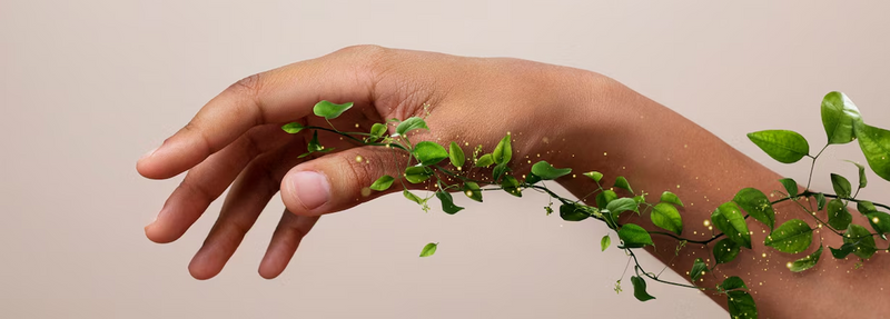 Thank you for your trust!